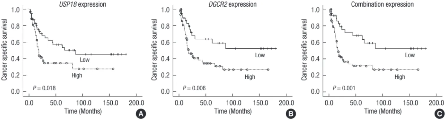 Fig. 1. Kaplan-Meier curve for prediction of cancer specific survival by USP18 expression (A), DGCR2 expression (B), and combined expression (C).