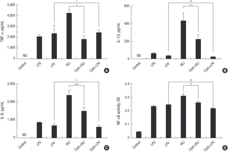 Fig. 2. Inflammatory cytokines and nuclear factor- κB (NF-κB) activity. The concentration of tumor necrosis factor-α (TNF-α) (A), interleukin (IL)-1β (B), and IL-6 (C) and NF-κB  activity (D) are significantly increased in the VILI group compared to other 