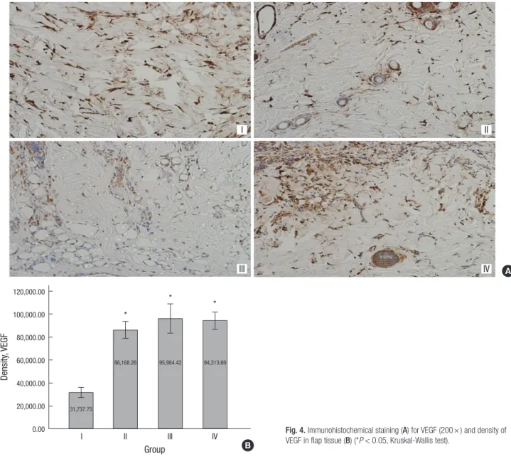 Fig. 4. Immunohistochemical staining (A) for VEGF (200 × ) and density of  VEGF in flap tissue (B) (*P < 0.05, Kruskal-Wallis test).