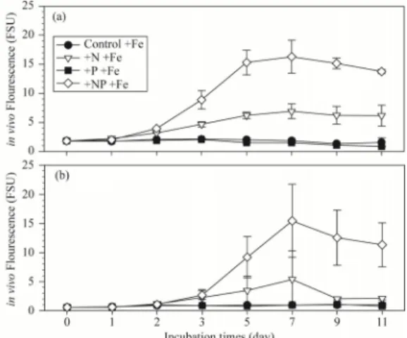 Fig. 6. Changes of in vivo fluorescence in control, +N,  +P and +NP treatment of bio-assay experiments