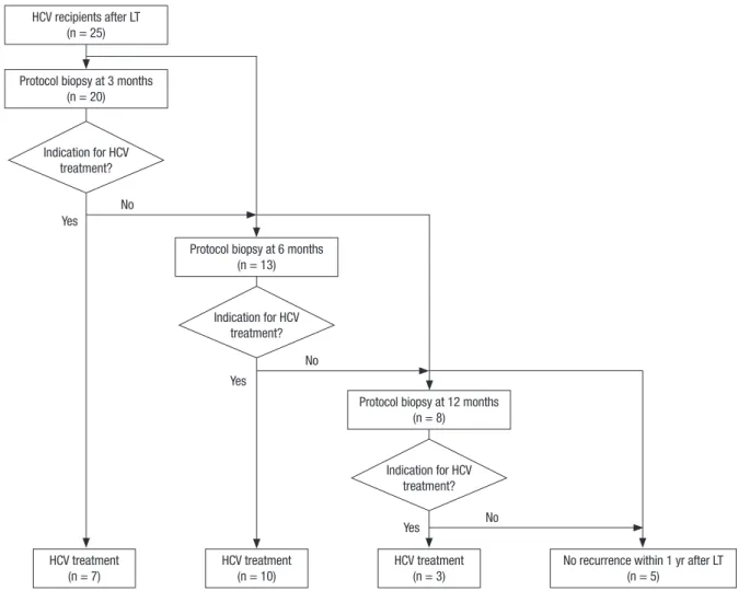 Fig. 1. Results of early protocol biopsies in hepatitis C virus related recipient after liver transplantation