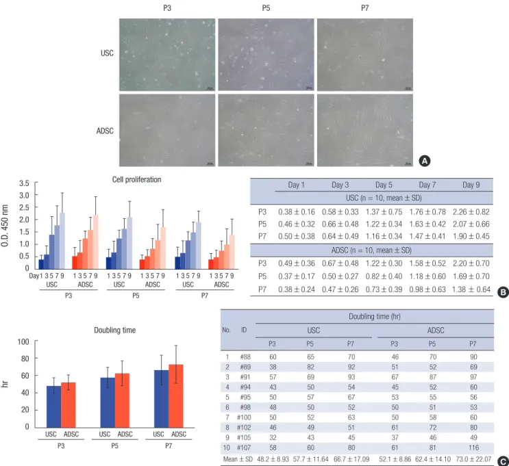 Fig. 1. Comparisons of stem cell characters between USCs and ADSCs at passage 3, 5, and 7 (Representative images came from patient #91)