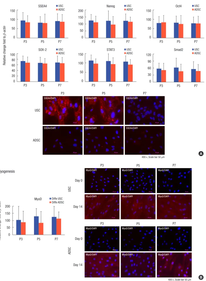 Fig. 4. Comparisons of differentiation ability between USCs and ADSCs at passage 3, 5, and 7 (Representative immunocytochemical [ICC] images came from patient #91)