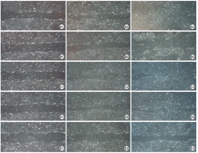 Table 1. Comparison of the contents of the 4 anti-inflammatory eye drop solutions  used 