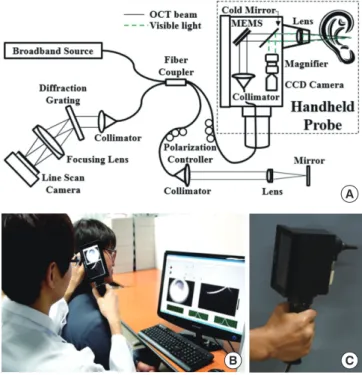 Fig. 1A shows a schematic of the SD-OCT system and the hand-