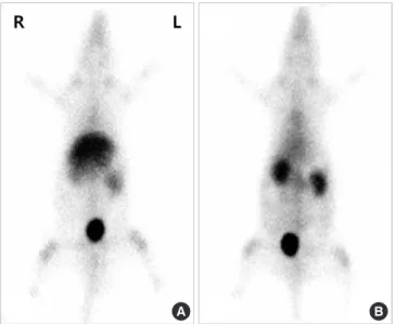 Fig. 3. Representative static planar images of rats administered with 7.4 MBq of 