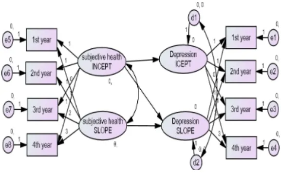Fig.  2.  Subjective health perception and depression   relations between developmental trajectory