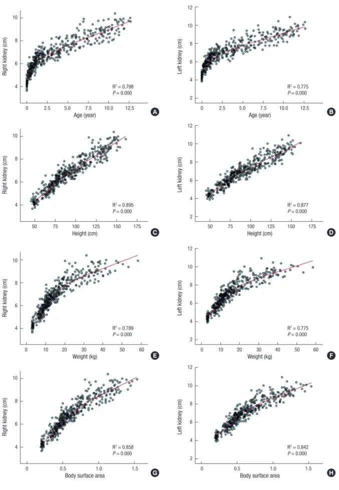 Fig. 2. Renal growth curve according to the child’s age, height, weight, and body surface area.Right kidney (cm)Age (year) 0 2.5 5.0 7.5  10.0  12.510864R2 = 0.798P = 0.000Left kidney (cm) Age (year) 0 2.5 5.0  7.5  10.0  12.512108642R2 = 0.775P = 0.000Rig