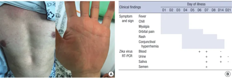 Fig. 1. Clinical manifestation and virus shedding. (A) Maculopapular rash on the trunk and palm