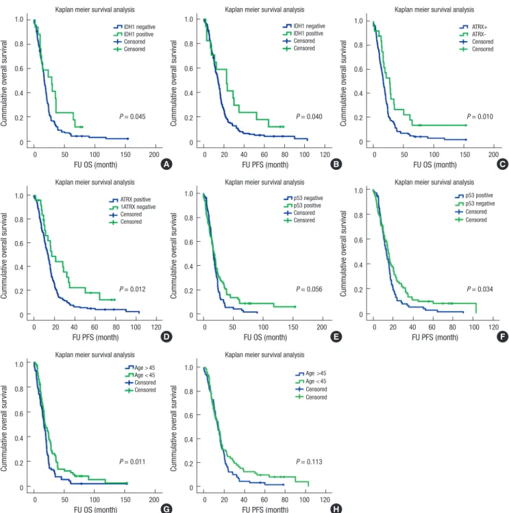 Fig. 2.  Kaplan-Meier plots for GBM patient survival by ATRX, IDH, and p53 protein expressions status
