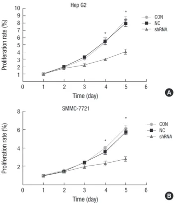 Fig. 4. Knockdown of OTX1 impairs the colony formation ability in vitro. (A) Fewer  colonies were visually observed in shOTX1-transfected Hep G2 cells and SMMC-7221  cells