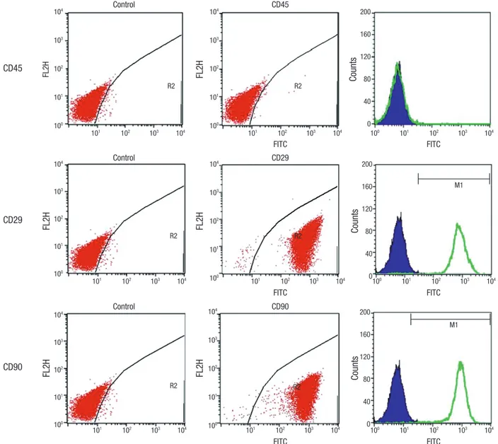 Fig. 2. Flow cytometry analysis of cultured allogeneic MSCs was performed to confirm immunophenotypes