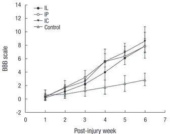Fig. 7. All rats including the control showed a gradual recovery of hindlimb function  for 6 weeks following spinal cord injury