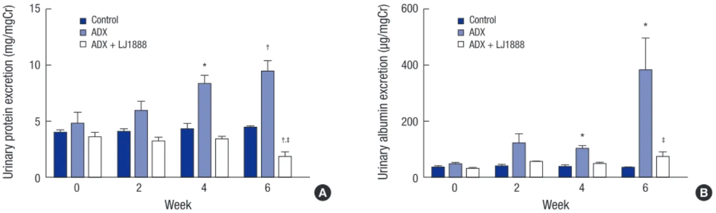 Fig. 1. Effects of LJ1888 on urinary excretion of protein and albumin in experimental ADX-induced nephropathy
