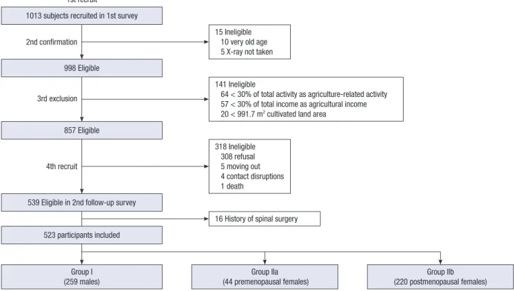 Fig. 1. Flow of participant recruitment.