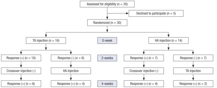 Table 1. Pain intensity and hip disability score during 12 weeks