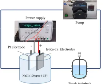 Figure  3.  Schematic  diagram  of  the  experimental  set-up  for  the  acce-  lerated  life  test  of  DSA.