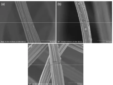 Figure  1.  Field-emission  scanning  electron  microscopy  (FE-SEM)  image  of  (a)  Raw,  (b)  DF  and  (c)  PF.