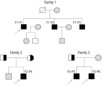 Fig. 1. Pedigrees of affected individuals with SLCO2A1 mutations. In the pedigree,  arrows indicate the proband