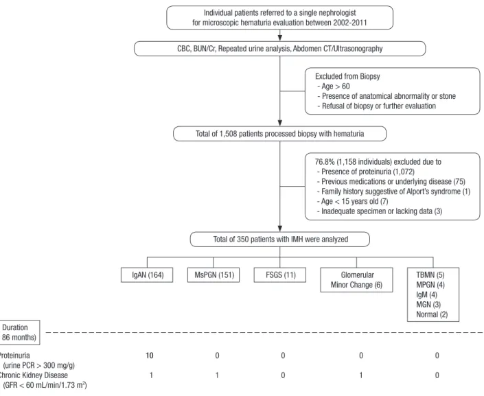 Fig. 1. Process of evaluation and results of isolated microscopic hematuria patients.