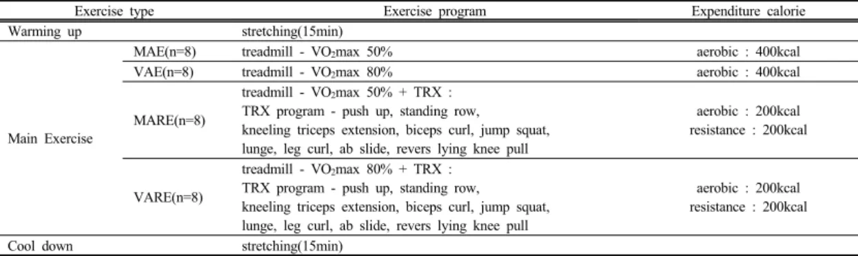 Table 3.  Exercise program