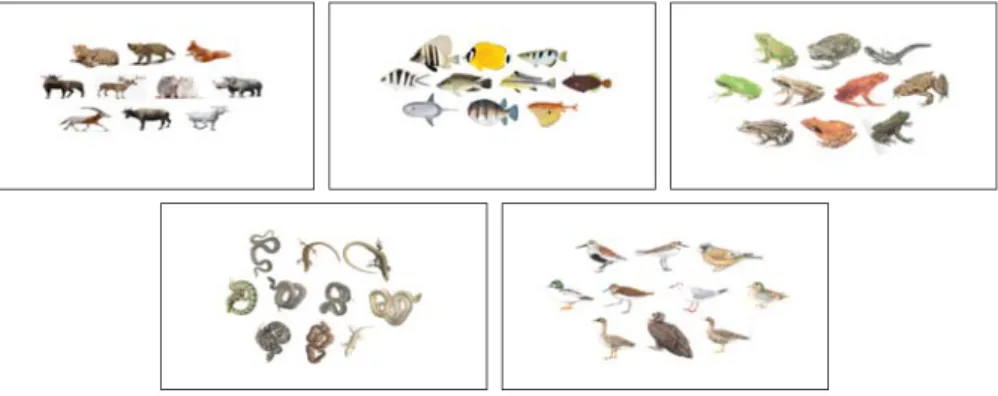 Figure  2.  The  commonness  discovery  task  of  ten  objects  (CDT-10)