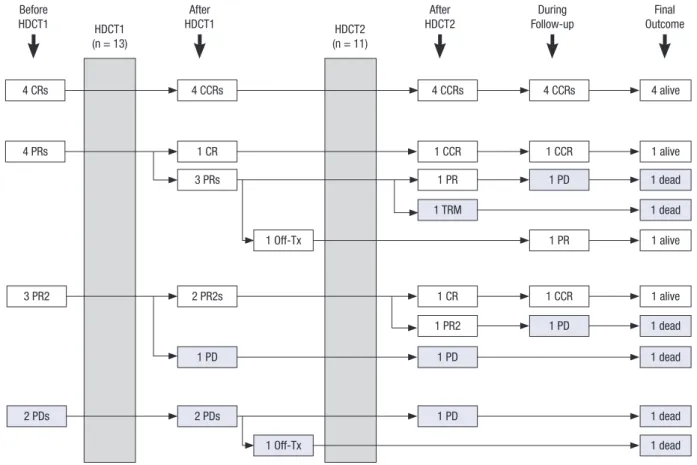 Fig. 1 summarizes the flow of patients. A total of 12 patients re- re-mained progression free during induction treatment