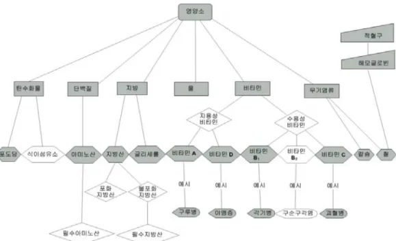 Figure  2.  Concept  map  of  digestion  in  technology·home  economics  textbook 각  영양소에  대하여  세부적으로  살펴보면,  포도 당을  포함한  탄수화물의  내용은  탄수화물의  신체구 성,  탄수화물의  함유식품,  탄수화물의  분해,  탄수화 물의  기능에  대하여  중복적으로  다루고  있다