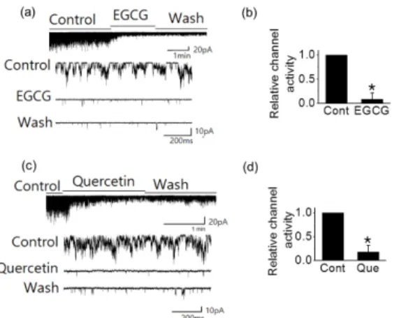 Fig. 1. The effects of EGCG and quercetin on TREK2  channel activity in HEKT2 cells. (a and c)  EGCG (50  μM) and quercetin (50 μM) inhibited  TREK2 channel activity