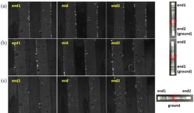 Fig. 8 An inside view of helical microchannel filled with 1μm and 10μm fluorescent beads suspension after spinning with respect to its axis