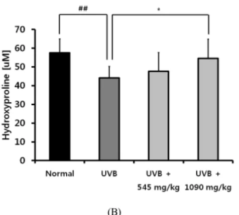 Fig.  5.  Effect of TFCP intake on skin thickness in  UVB-irradiated hairless mice. (A) H&amp;E staining  (B) epidermis thickness