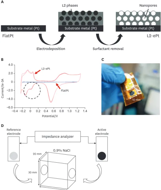 Fig. 1. Schematic diagrams of experimental design. (A) L2-ePt fabrication process including electro-deposition and  surfactant removal steps