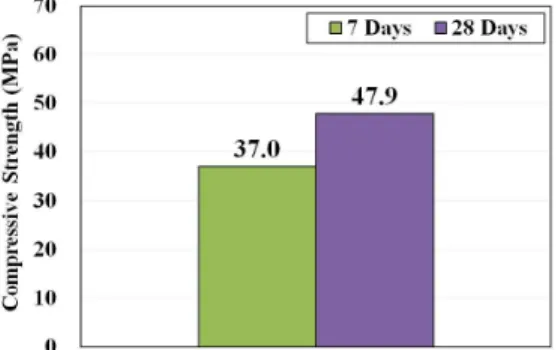 Fig.  13.  Result  of  freeze-thaw  resistance