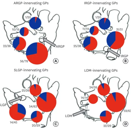 Fig. 6. Semi-quantitative analysis of the distribution of CTB-labeled ganglia by CTB-AF injected GP (Experiment 2)