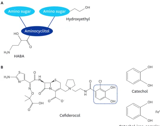 Fig. 7. The structure of new antimicrobials other than beta-lactamase inhibitors: (A) The schematic structure of  plazomicin (HABA)
