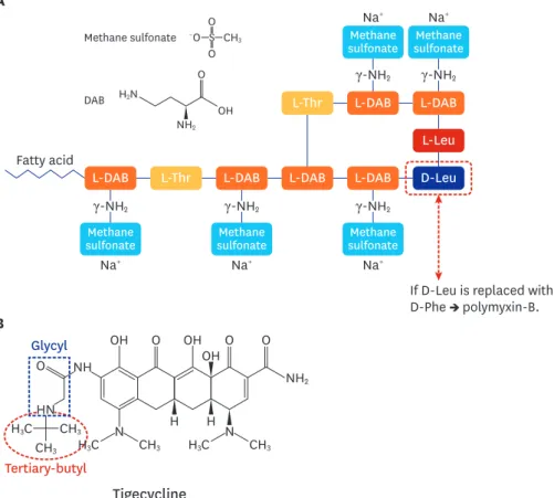 Fig. 4. The structure of colistin and tigecycline: (A) The schematic structure of colistin