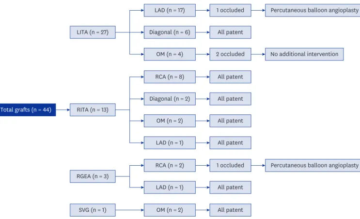 Fig. 1. Flow diagram of the outcomes of each graft. 