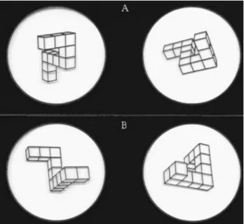 Fig.  1  Mental  Rotation  Task(Shepard  &amp;  Metzler,  1971).
