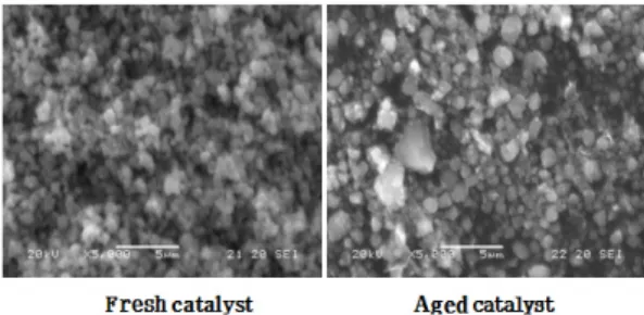 Fig. 6.  Comparison of SEM photographs of fresh and aged  catalyst.