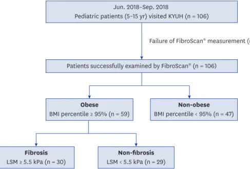 Fig. 1. Flow chart of the study protocol and overview of the study population. 