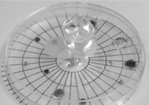 Fig. 8 SO 2 cause acid rain experiments.