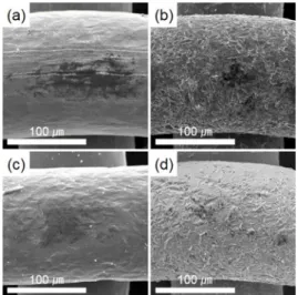 Figure 5. Effect of Cathode types on the removal rate of MB.