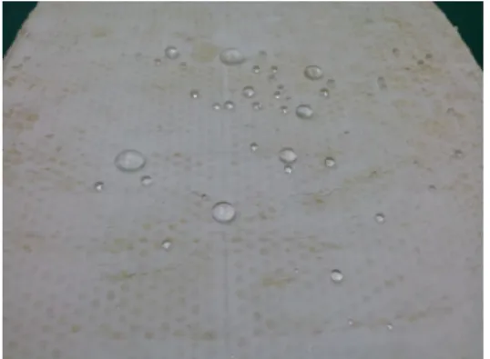 Fig. 8. Hydrophobic characteristic on glass wool