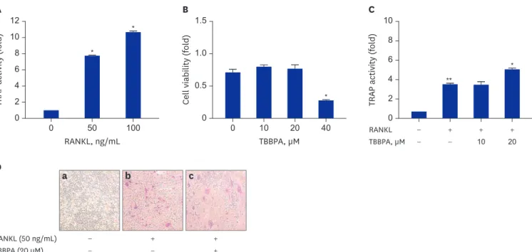 Fig. 1. Effects of TBBPA on RANKL-induced osteoclast differentiation in RAW264.7 cells