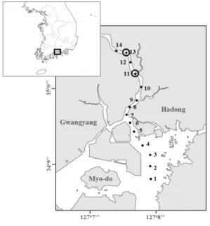 Fig.  1. A map showing the sampling stations at   Seomjin River. Two large circles indicates the  sampling sites of a brackish water clam 