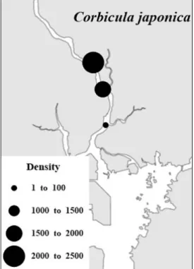 Fig. 4. Spatial distribution patterns of Corbicula japonica in  Seomjin River in 2015 (unit: ind./m -2 ).