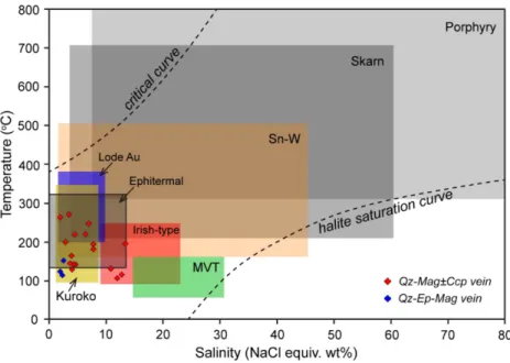 Fig. 8. Homogenization temperatures vs. salinity plot (Wilkinson, 2001) for fluid inclusion data
