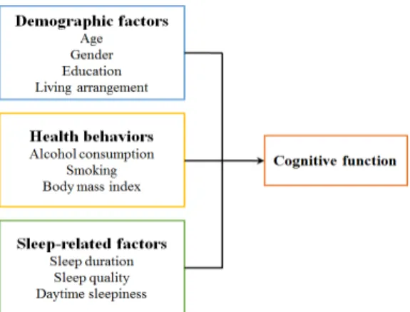 Fig. 1. Conceptual framework 