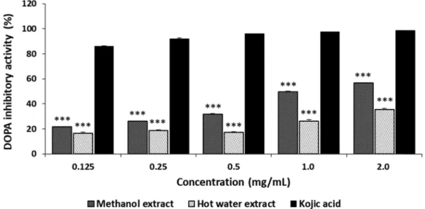 Fig. 5. Melanin synthesis activities of methanol and hot water extracts from fruiting bodies of Ganoderma applanatum in B16- B16-F10 melanoma cells