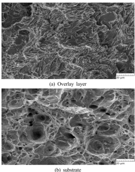 Fig. 5. Microstructures of tensil test specimen